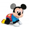 MICKEY BABY GATTON.17237 CLEMENTONI
